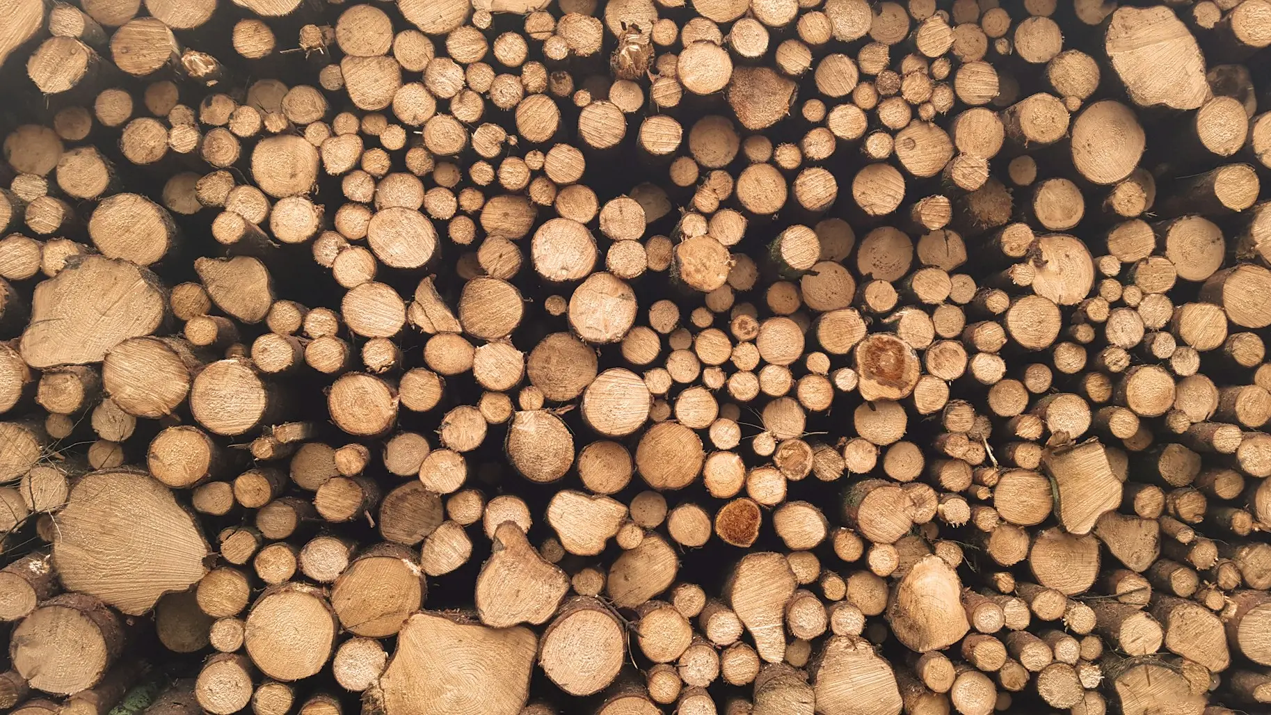 brown log lot at daytime